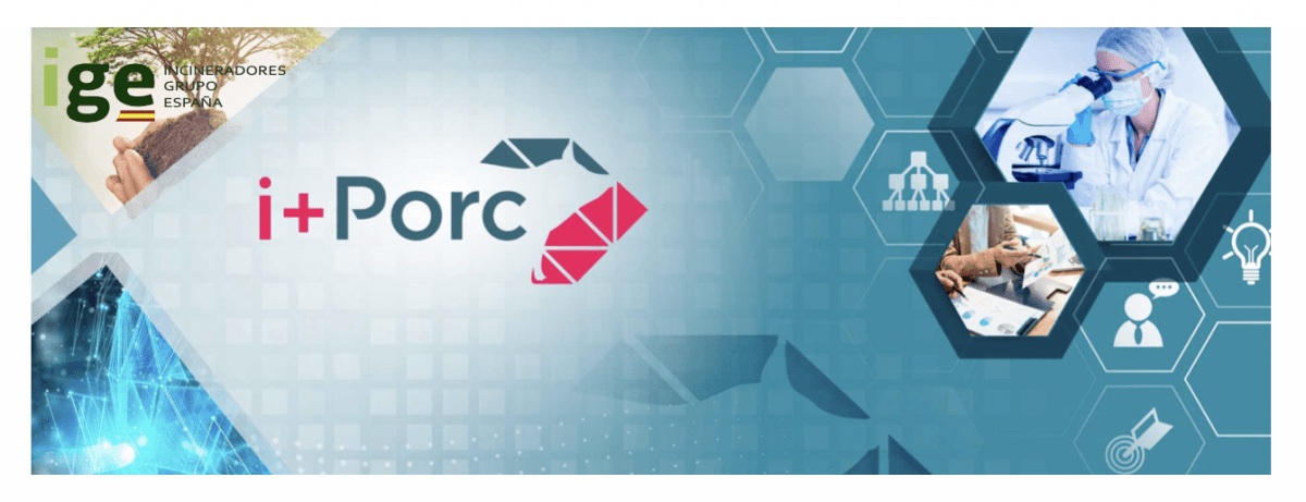 NUEVA INCORPORACIÓN DE IGE EN EL CLÚSTER NACIONAL DE PRODUCTORES DE GANADO PORCINO ??