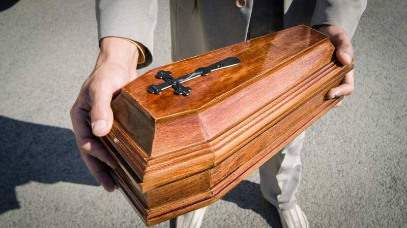 La Ley de Bienestar Animal obligará a incinerar a los animales de compañía